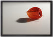kleine Physalis auf Leinwandbild gerahmt Größe 60x40