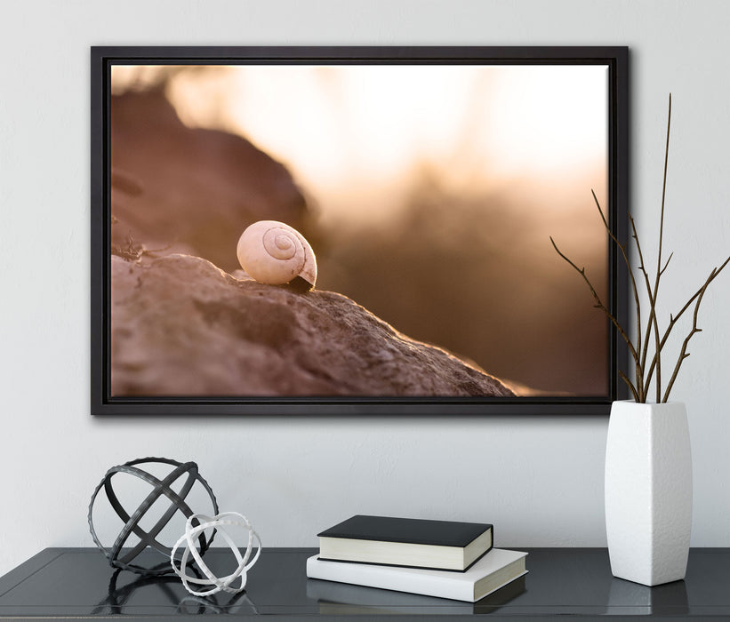 kleine Schnecke auf Stein auf Leinwandbild gerahmt mit Kirschblüten