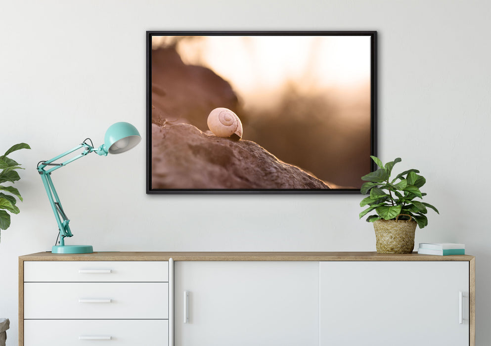 kleine Schnecke auf Stein auf Leinwandbild gerahmt verschiedene Größen im Wohnzimmer