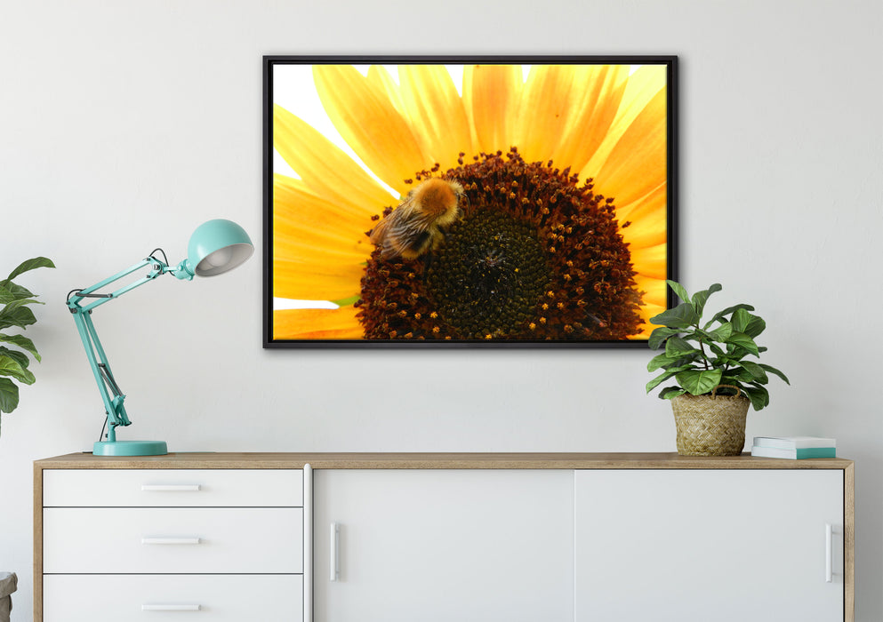 Biene auf Sonnenblume auf Leinwandbild gerahmt verschiedene Größen im Wohnzimmer