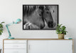 zwei liebevolle Pferde auf Leinwandbild gerahmt verschiedene Größen im Wohnzimmer