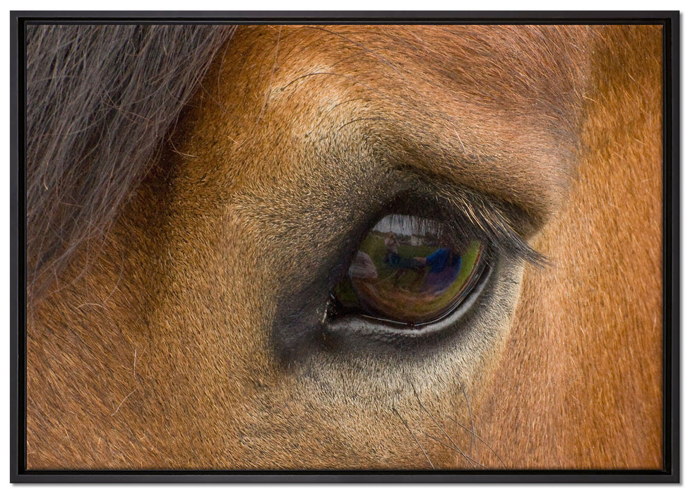 sanfte große Pferdeaugen auf Leinwandbild gerahmt Größe 100x70