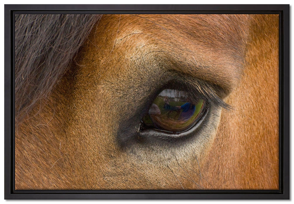 sanfte große Pferdeaugen auf Leinwandbild gerahmt Größe 60x40