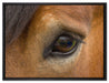 sanfte große Pferdeaugen auf Leinwandbild gerahmt Größe 80x60