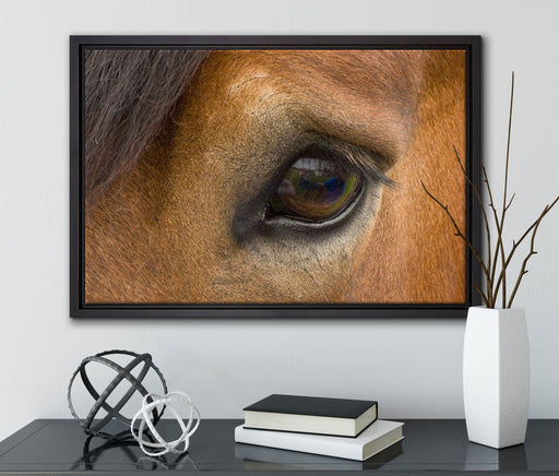 sanfte große Pferdeaugen auf Leinwandbild gerahmt mit Kirschblüten