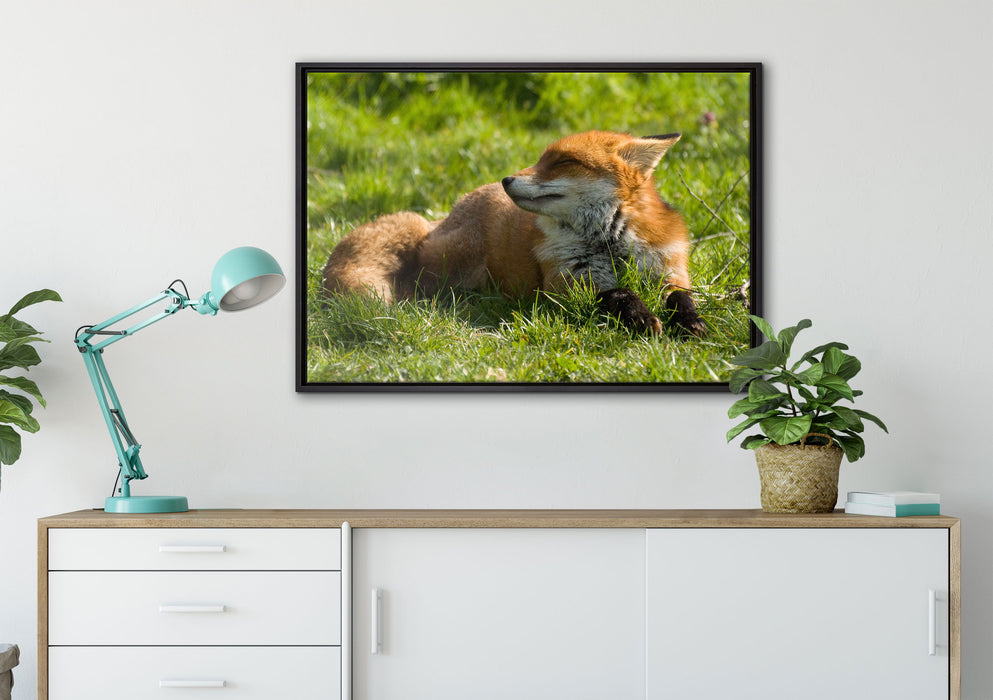Kleiner Fuchs auf Wiese auf Leinwandbild gerahmt verschiedene Größen im Wohnzimmer