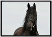 Schönes Pferd auf Leinwandbild gerahmt Größe 100x70