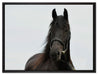 Schönes Pferd auf Leinwandbild gerahmt Größe 80x60