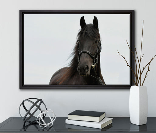 Schönes Pferd auf Leinwandbild gerahmt mit Kirschblüten