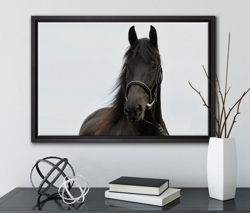 Schönes Pferd auf Leinwandbild gerahmt mit Kirschblüten