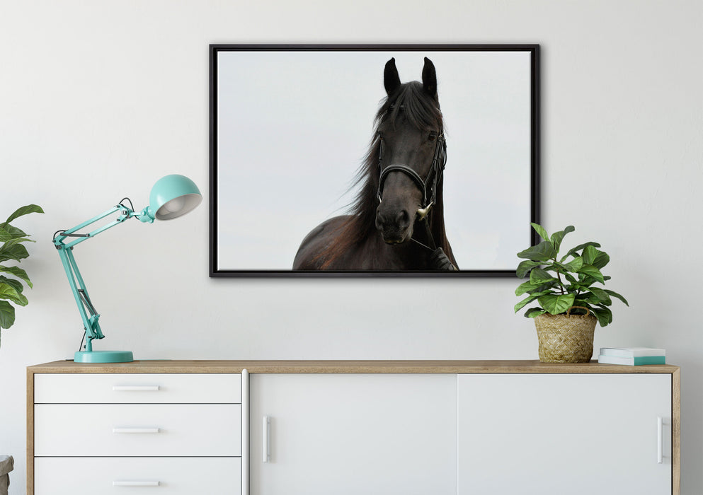 Schönes Pferd auf Leinwandbild gerahmt verschiedene Größen im Wohnzimmer