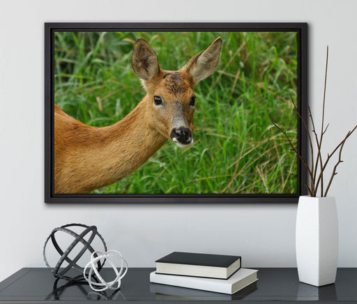 Reh beim Fressen auf Leinwandbild gerahmt mit Kirschblüten