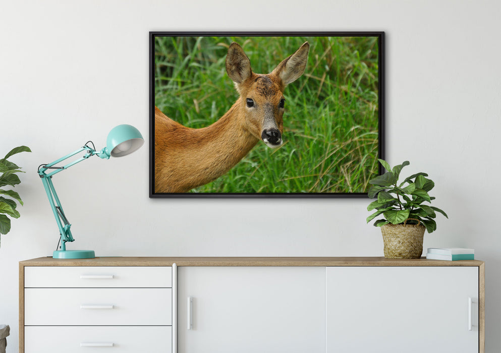 Reh beim Fressen auf Leinwandbild gerahmt verschiedene Größen im Wohnzimmer