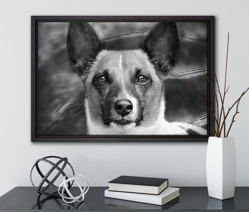 niedlicher Hund im Wasser auf Leinwandbild gerahmt mit Kirschblüten