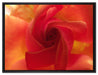 zarte Rosenblüte auf Leinwandbild gerahmt Größe 80x60