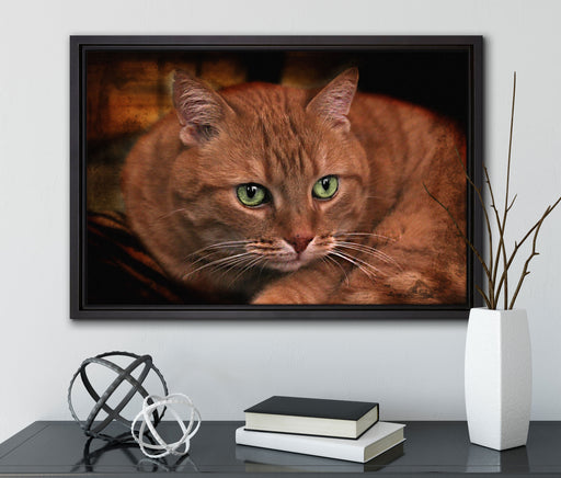 schöne Hauskatze auf Leinwandbild gerahmt mit Kirschblüten