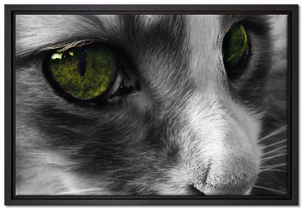 kleine Katze im Seitenprofil auf Leinwandbild gerahmt Größe 60x40