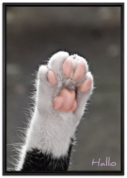 kleine Katzenpfote auf Leinwandbild gerahmt Größe 100x70