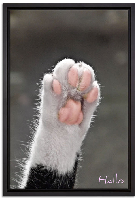 kleine Katzenpfote auf Leinwandbild gerahmt Größe 60x40
