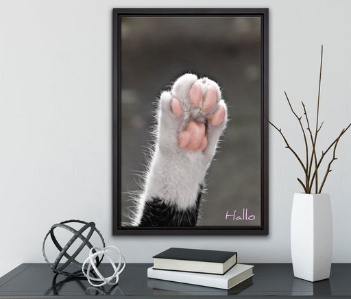 kleine Katzenpfote auf Leinwandbild gerahmt mit Kirschblüten