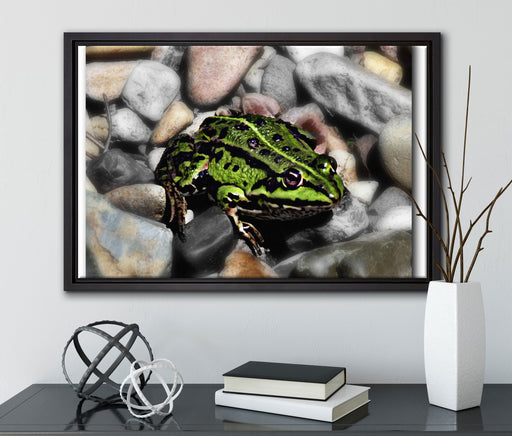 grüne Kröte in Steinbett auf Leinwandbild gerahmt mit Kirschblüten