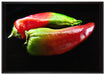 Dark zwei Chilischoten auf Leinwandbild gerahmt Größe 100x70