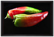 Dark zwei Chilischoten auf Leinwandbild gerahmt Größe 60x40