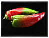 Dark zwei Chilischoten auf Leinwandbild gerahmt Größe 80x60