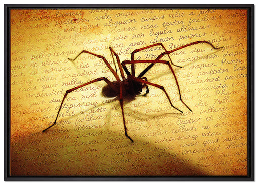 Hausspinne auf Briefpapier auf Leinwandbild gerahmt Größe 100x70