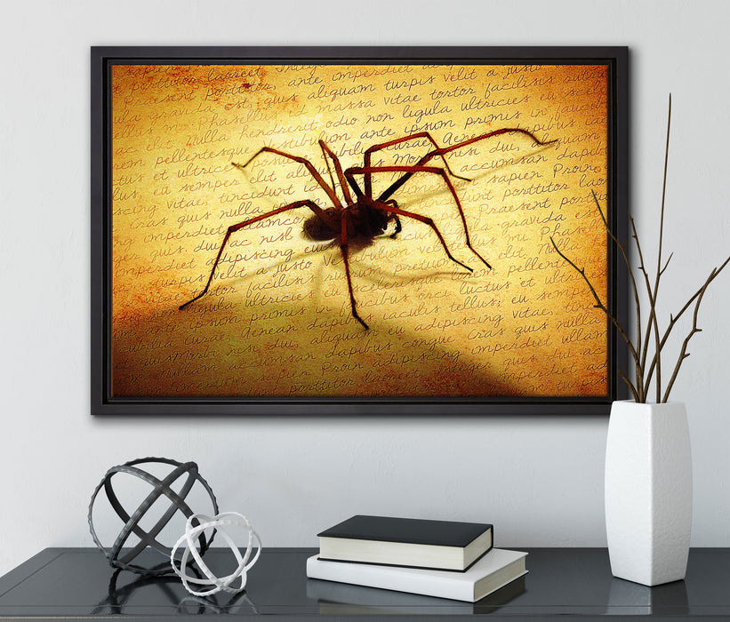 Hausspinne auf Briefpapier auf Leinwandbild gerahmt mit Kirschblüten