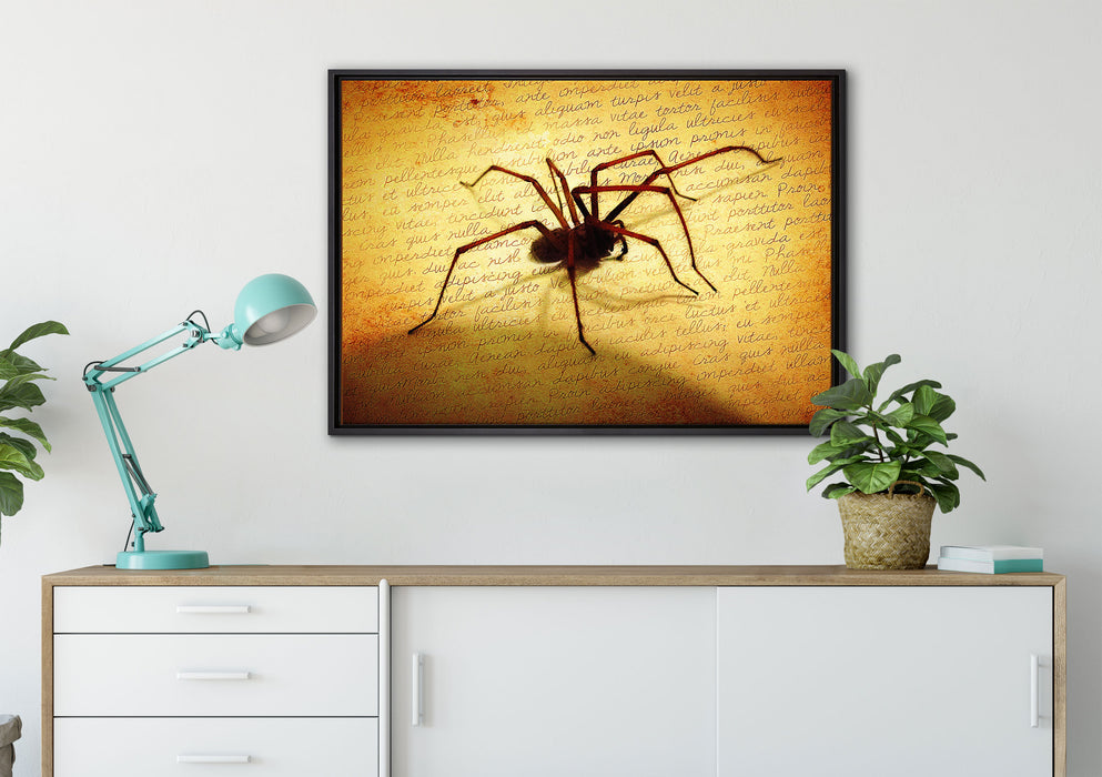 Hausspinne auf Briefpapier auf Leinwandbild gerahmt verschiedene Größen im Wohnzimmer