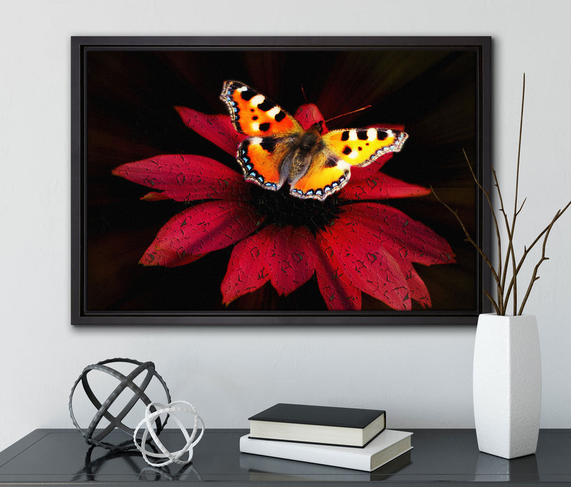 Schmetterling auf roter Blüte auf Leinwandbild gerahmt mit Kirschblüten