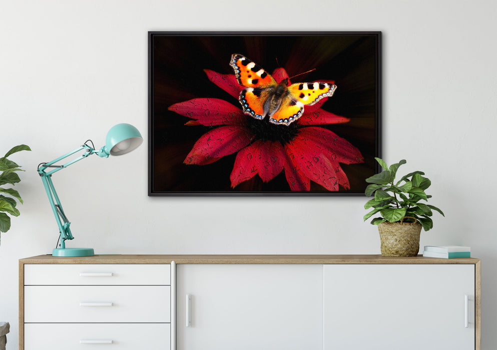 Schmetterling auf roter Blüte auf Leinwandbild gerahmt verschiedene Größen im Wohnzimmer