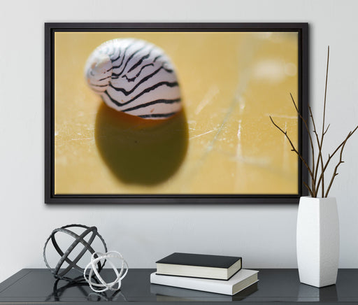 kleines gestreiftes Schneckenhaus auf Leinwandbild gerahmt mit Kirschblüten