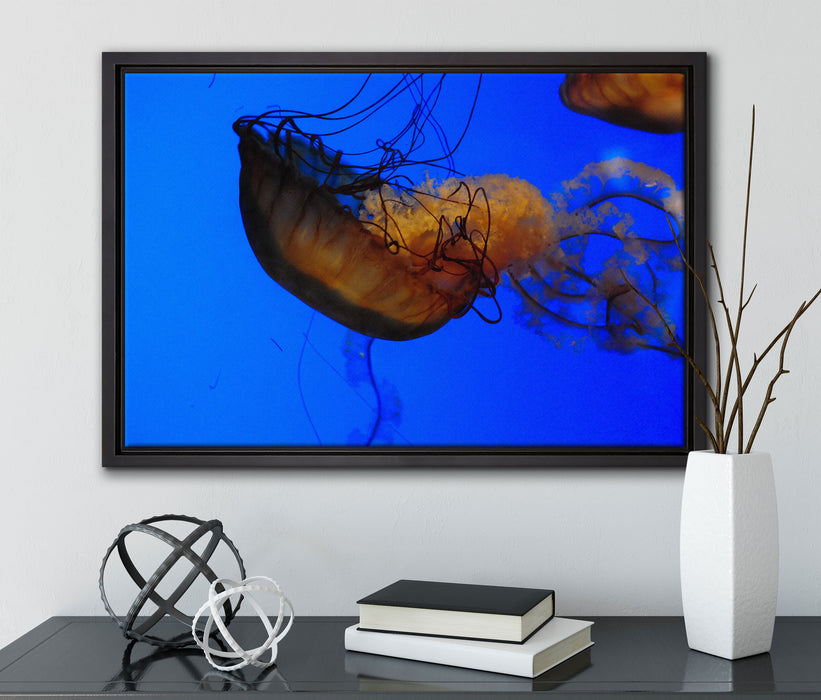 anmutige Qualle im Wasser auf Leinwandbild gerahmt mit Kirschblüten