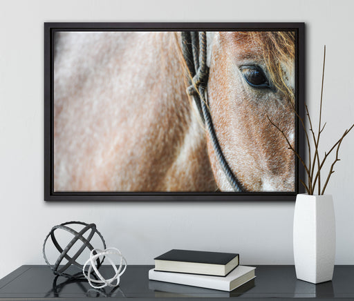 prachtvolles Pferd auf Leinwandbild gerahmt mit Kirschblüten