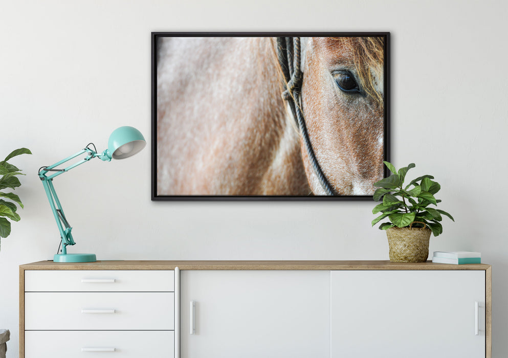 prachtvolles Pferd auf Leinwandbild gerahmt verschiedene Größen im Wohnzimmer