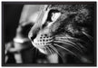 anmutige Katze im Seitenprofil auf Leinwandbild gerahmt Größe 60x40
