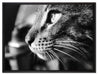 anmutige Katze im Seitenprofil auf Leinwandbild gerahmt Größe 80x60