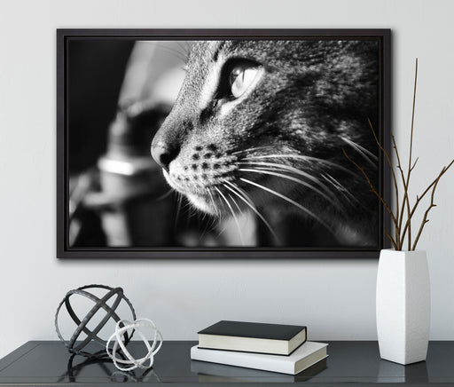 anmutige Katze im Seitenprofil auf Leinwandbild gerahmt mit Kirschblüten