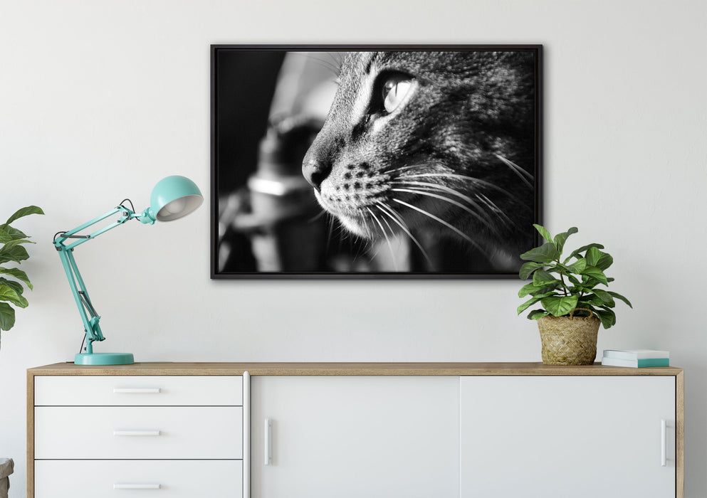 anmutige Katze im Seitenprofil auf Leinwandbild gerahmt verschiedene Größen im Wohnzimmer
