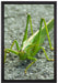 freche kleine Heuschrecke auf Leinwandbild gerahmt Größe 60x40