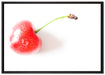 kleine Kirsche auf Leinwandbild gerahmt Größe 100x70