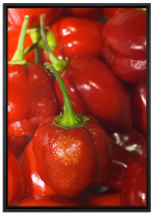 kleine Chilischoten auf Leinwandbild gerahmt Größe 100x70