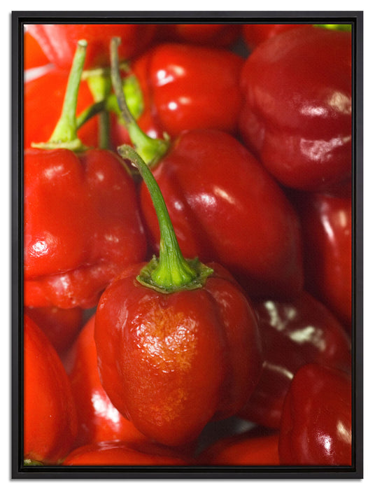 kleine Chilischoten auf Leinwandbild gerahmt Größe 80x60