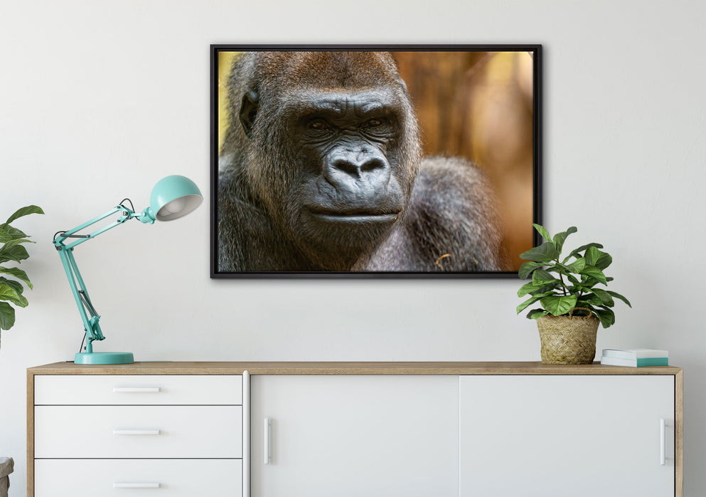stolzer Gorilla auf Leinwandbild gerahmt verschiedene Größen im Wohnzimmer