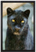 prächtiger Panther auf Leinwandbild gerahmt Größe 60x40