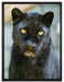 prächtiger Panther auf Leinwandbild gerahmt Größe 80x60