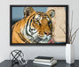 schöner Tiger auf Leinwandbild gerahmt mit Kirschblüten