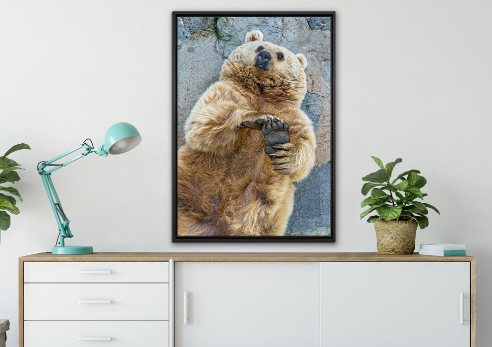 verspielter Grizzlybär auf Leinwandbild gerahmt verschiedene Größen im Wohnzimmer